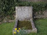 image of grave number 767915